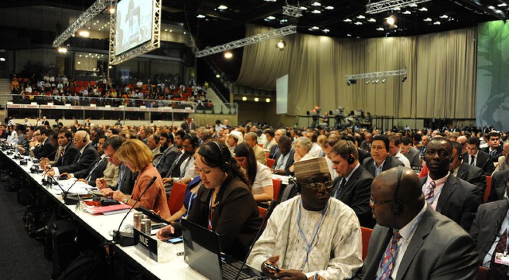 Agriculture and the Green Climate Fund: Two U.S. bargaining chips at the climate talks