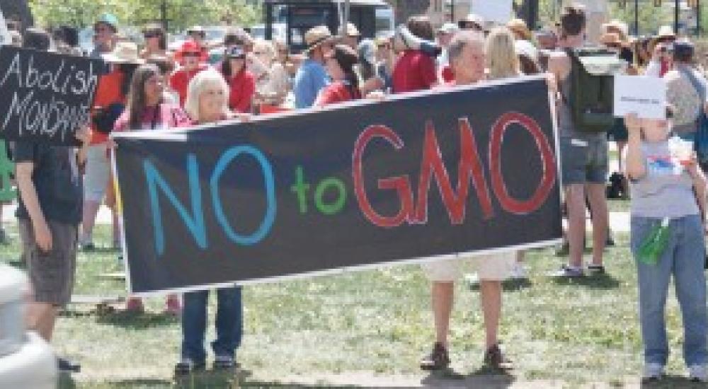 Don’t stop at the seed: Going beyond non-GMO