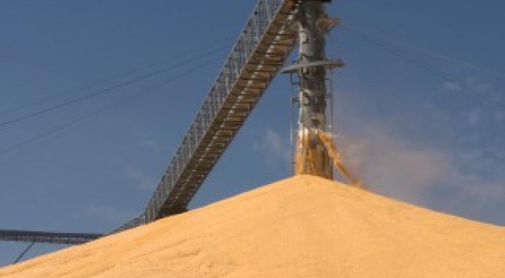 Grain Reserves in an Unstable Climate