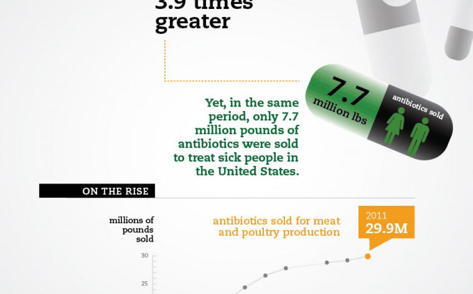 Animal antibiotic use continues upwards, FDA keeps blinders on 