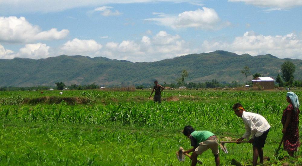 Governments agree on voluntary rules to control land grabs