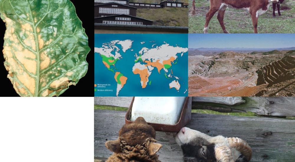 Scarcity of micronutrients in soil, feed, food and mineral reserves