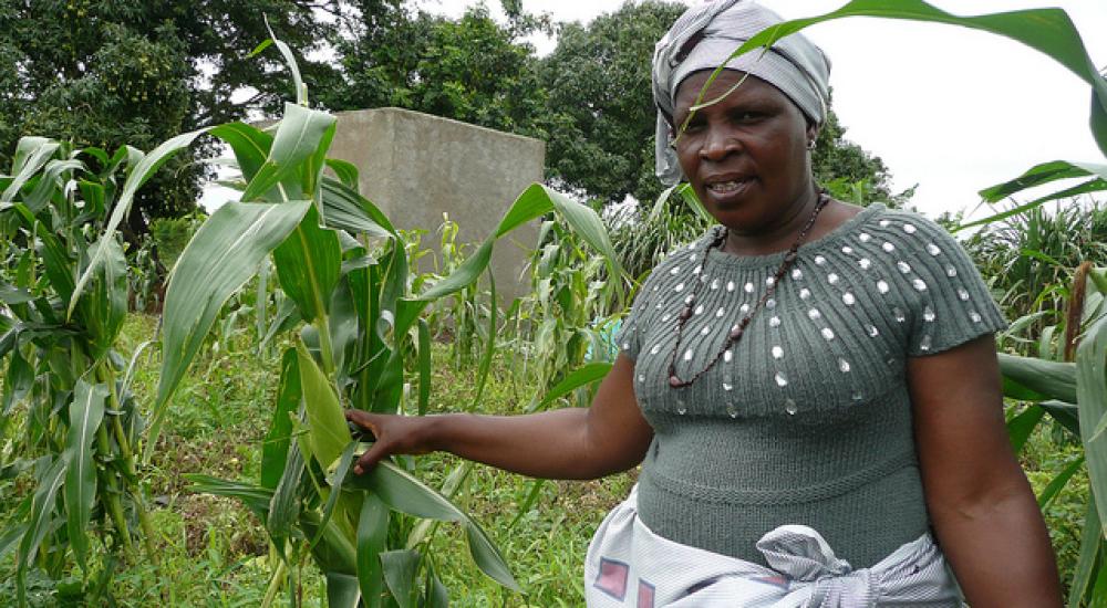 Defining our terms: Agroecology and sustainable agriculture in the context of Rio+20