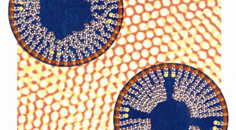 Environmental and public health still secondary to product development in new national nanotech strategy