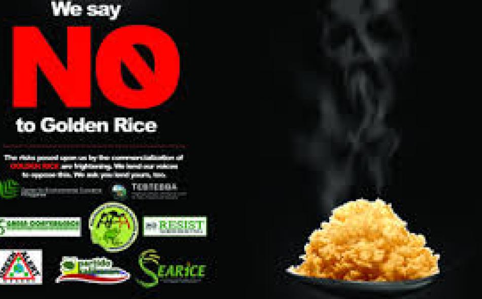 Campaign against Golden Rice and other GMOs in the Philippines