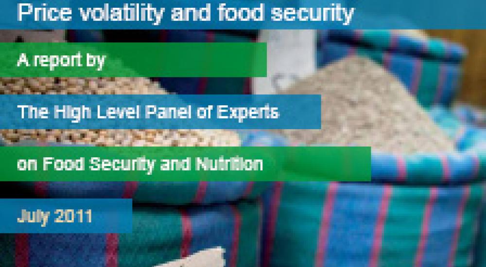 Price volatility and food security