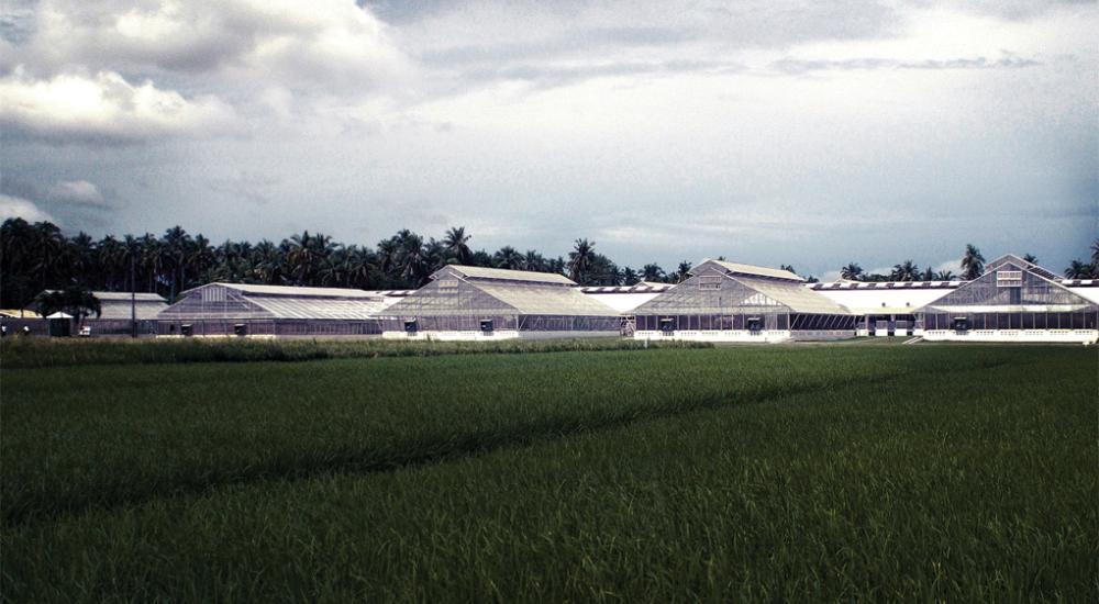 Making Public Agricultural Research Work for the Public: Research and the Farm Bill