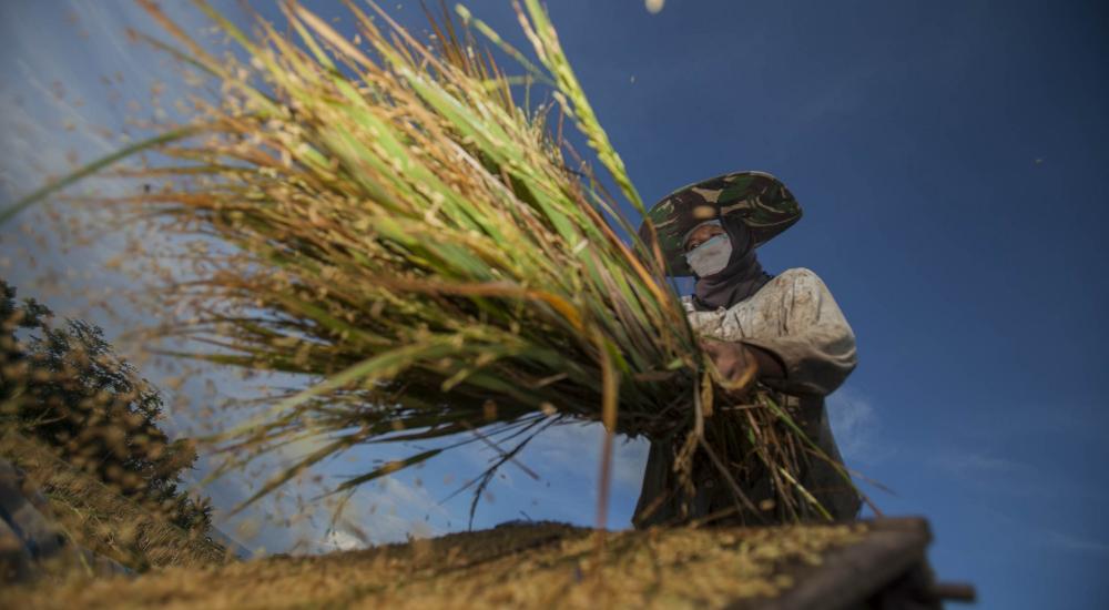 UN C﻿om﻿mittee on Food Security links Water with Food and Nutrition Security