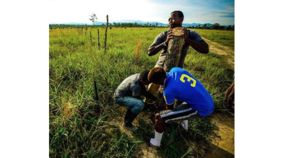 Defending Afro-Indigenous Land: Black Fraternal Organization of Honduras Wins 2015 U.S. Food Sovereignty Prize