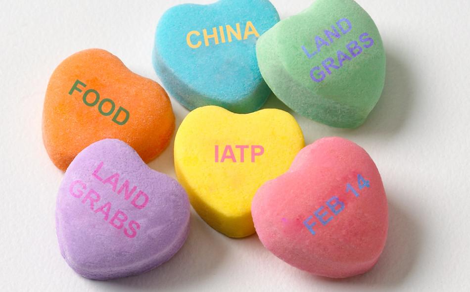 Be our Valentine and learn about global land grabs at IATP