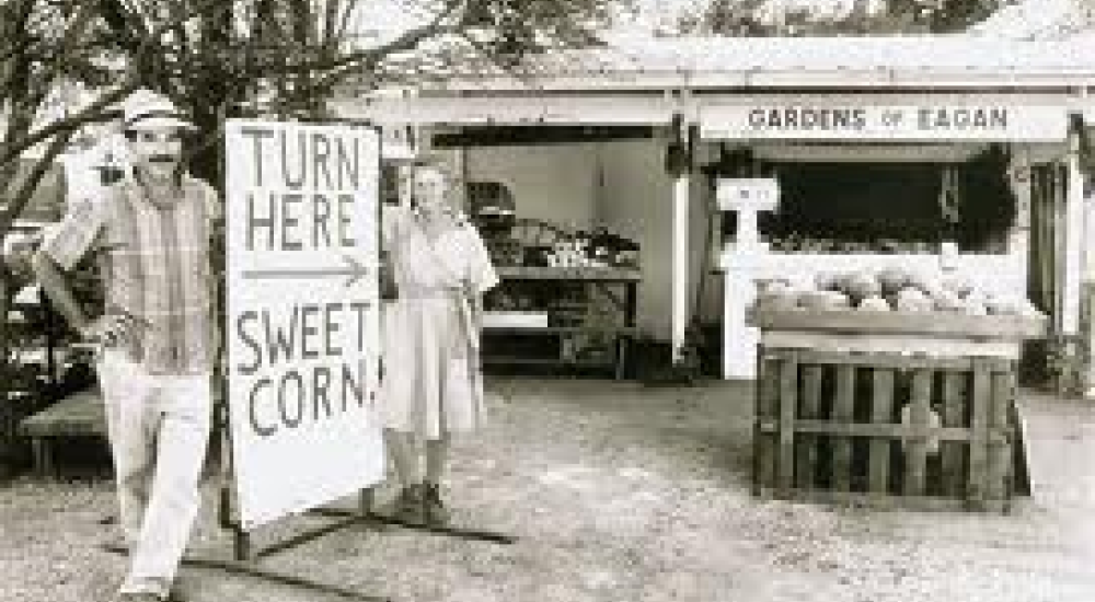 Review: Turn Here Sweet Corn: Organic Farming Works