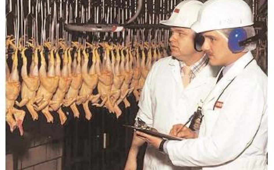 Webinar: TTIP webinar series: Trade rules for poultry and pork: safe for whom? 