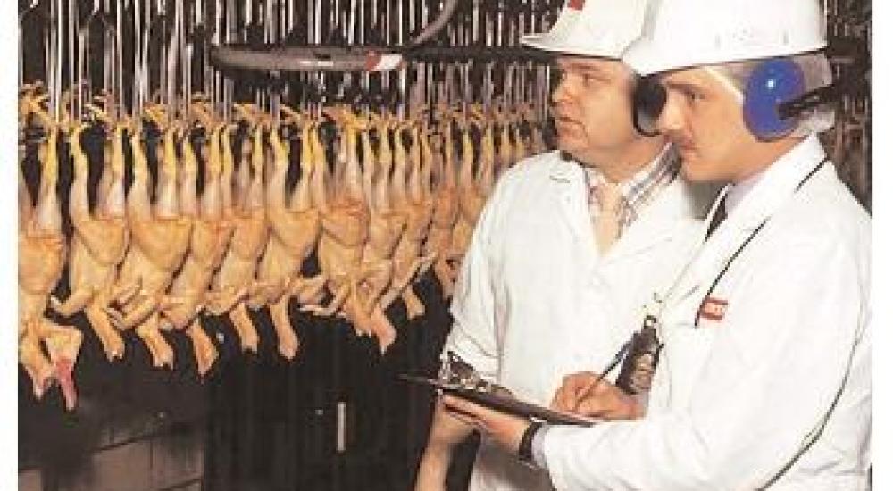 TTIP webinar series: Trade rules for poultry and pork: safe for whom?