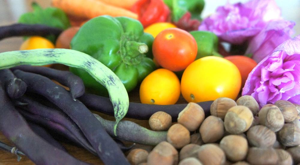  A flood of comments on the Dietary Guidelines