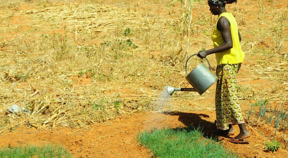 Reflections on the right to water as we move towards Rio+20