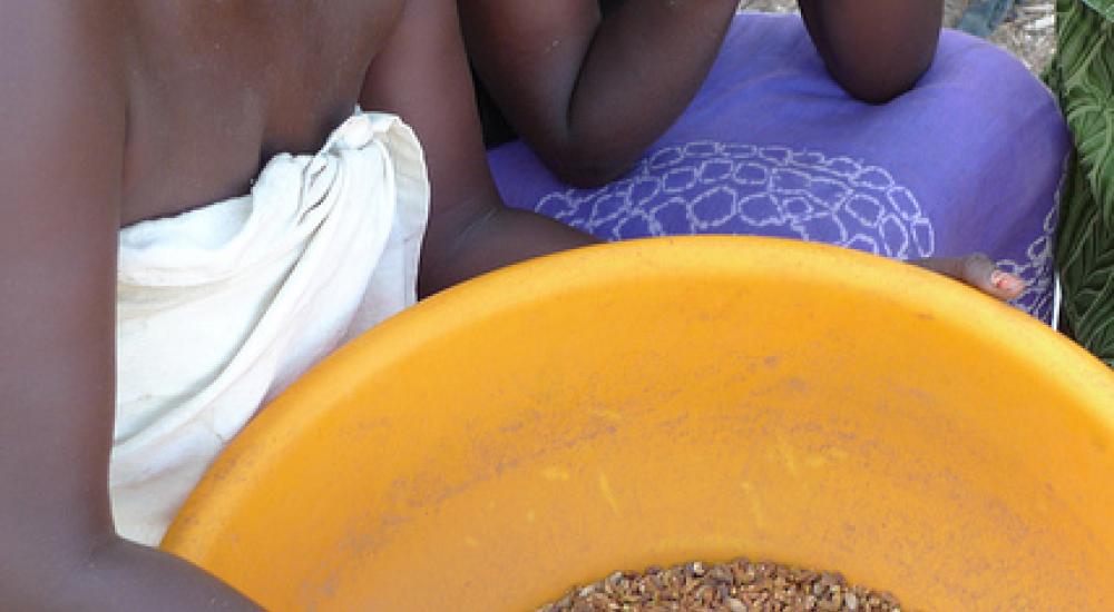 The G-20's opportunity on food reserves