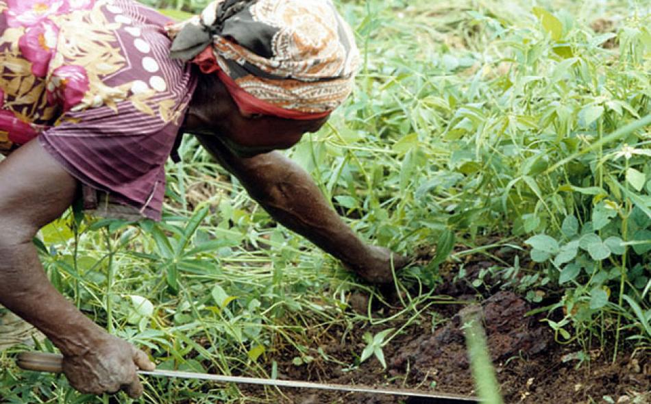 How to invest justly in small-scale agriculture