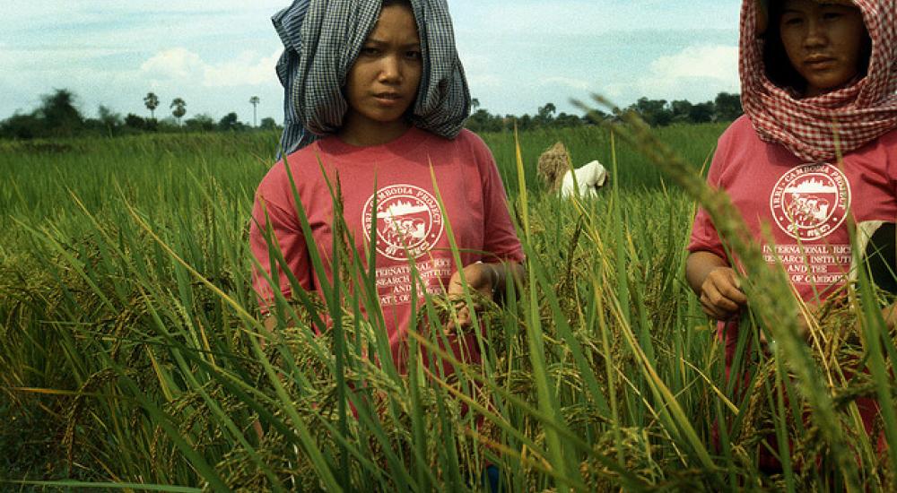 Women and the right to food 