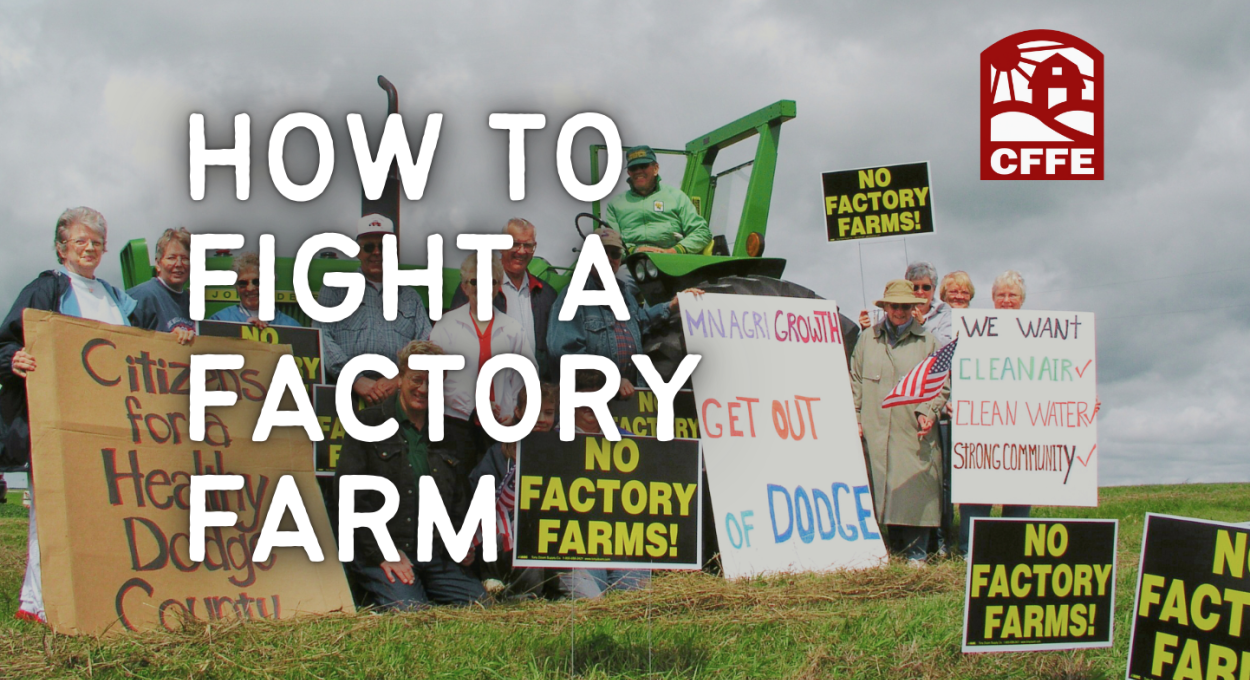 How to Fight a Factory Farm