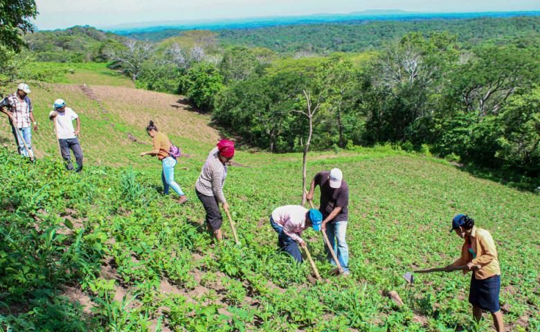 Agroecology Group work