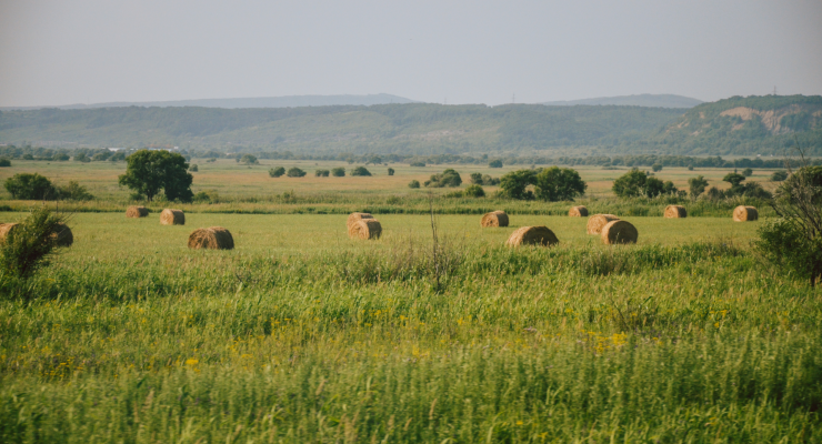 Europe farm field
