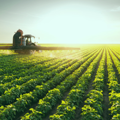 Tractor spraying a monocrop soybean field