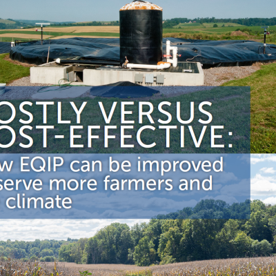 Costly vs cost-effective cover image
