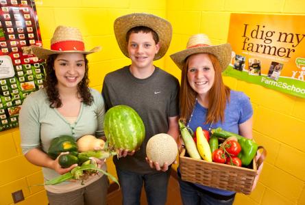 Big changes for school food