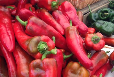 The Next Wave for Good Food