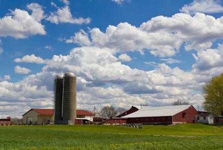 Farm site