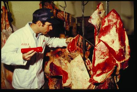 OSDA Meat Inspector 2