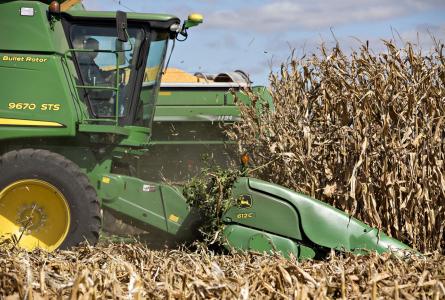 tractor harvesting corn