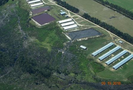 CAFO Breach