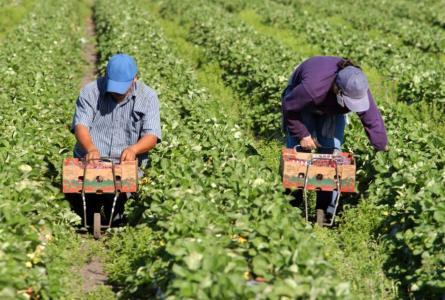 Green New Deal and Trade