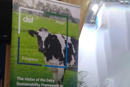 Dairy Sustainability Framework