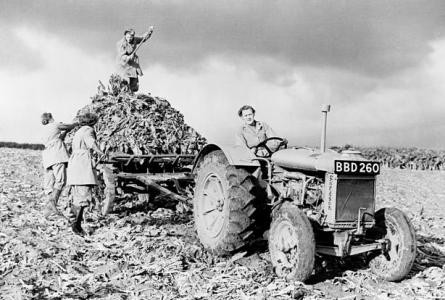 British Women's Land Army