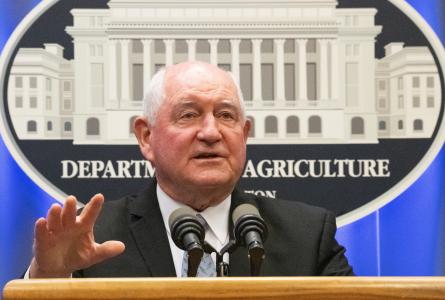 Sonny Perdue