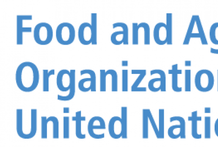 FAO logo