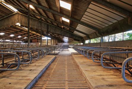 Empty barn