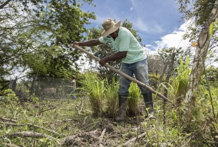 Agroecology practices in Colombia