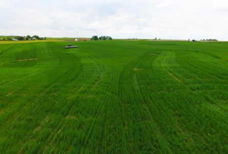 Crop Cover 