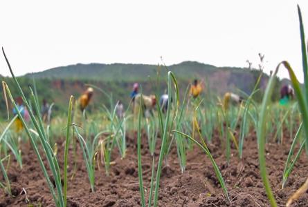 climate-smart soil