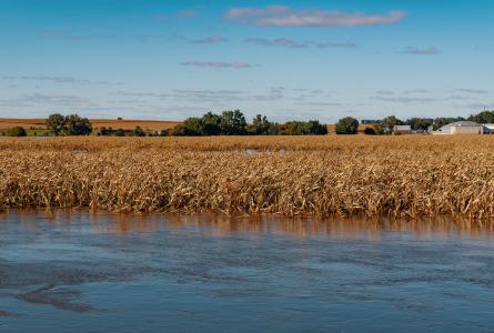 Farm field flooding