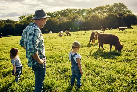 Kids with cows