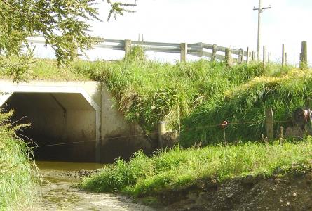 Ditch