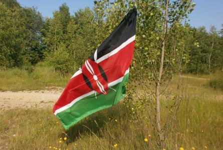 Kenyan flag in field 