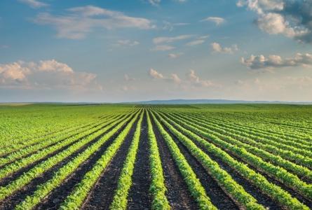 Rome Summit Takes Bold Step Toward Agroecology