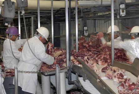 Workers at a slaughterhouse 