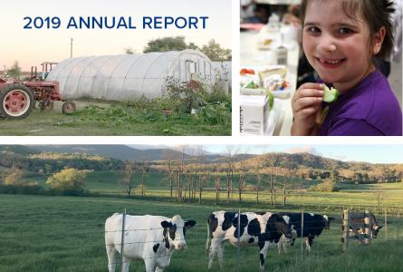 2019 Annual Report cover