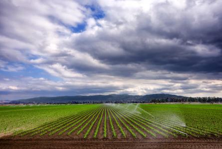 California farm